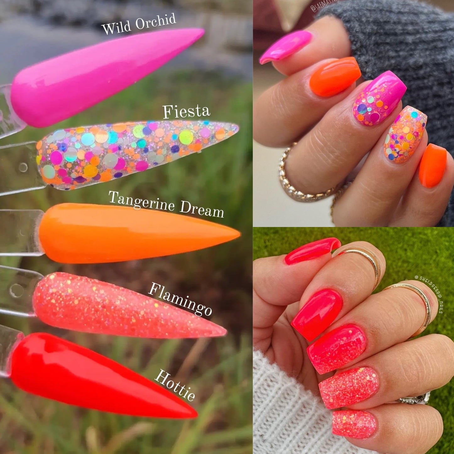 Fiesta Collection