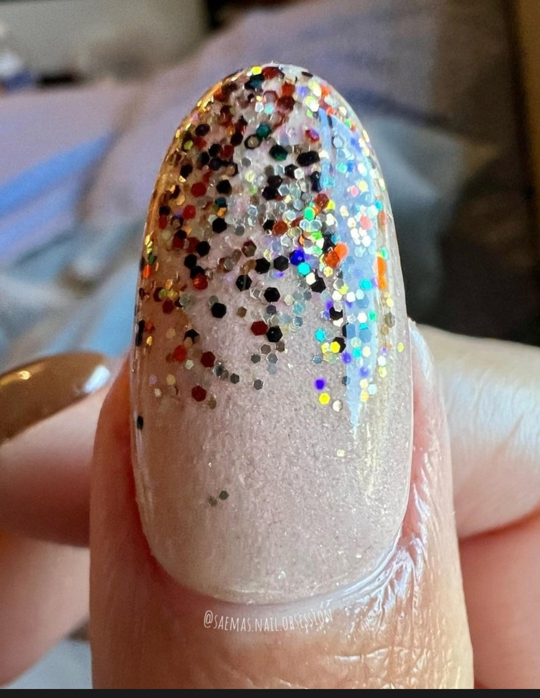 Fall Treats Collection