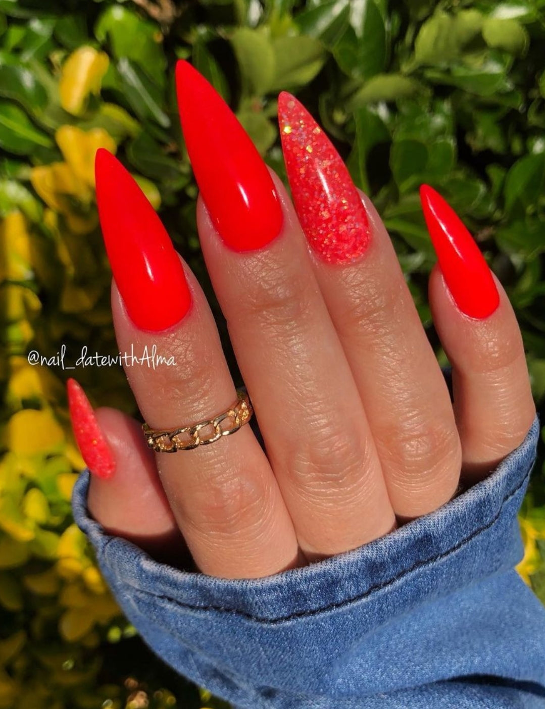 Fiesta Collection