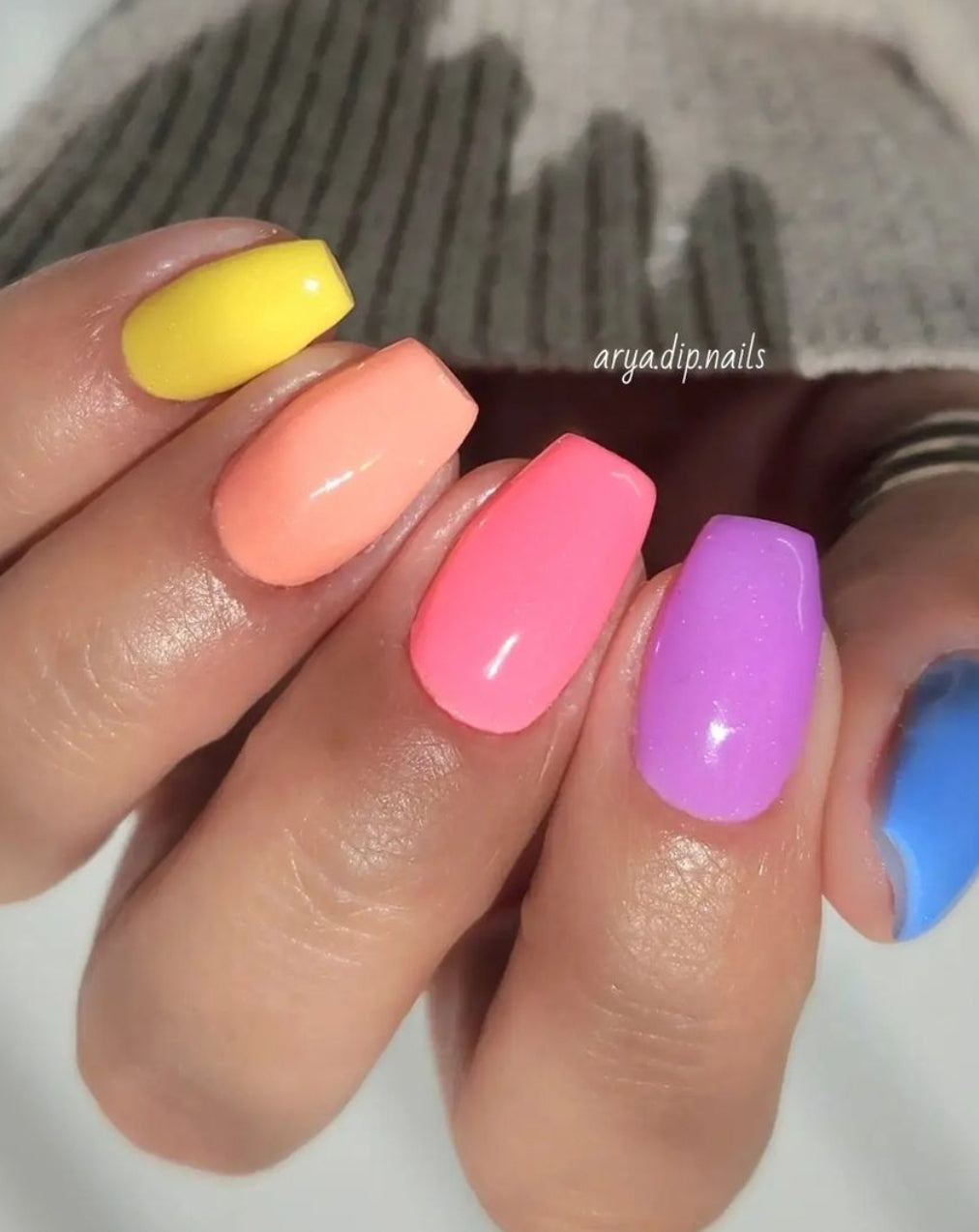 Tropic like It's Hot -Spring Collection